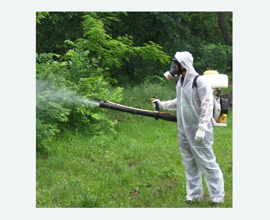 обработка территории от клещей Белорусская метро Москвы