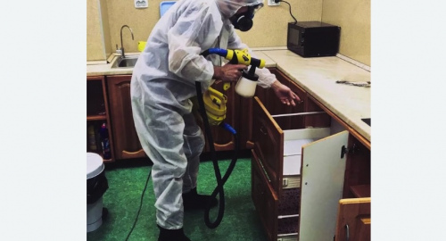 Дезинсекция квартиры. Белорусская