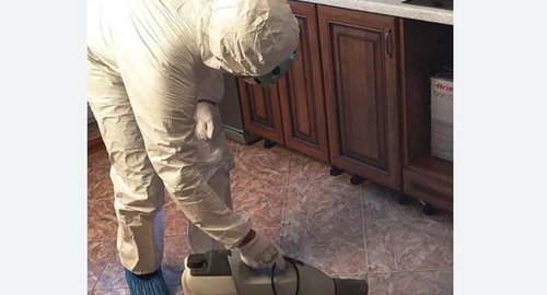 Уничтожение тараканов в квартире. Белорусская