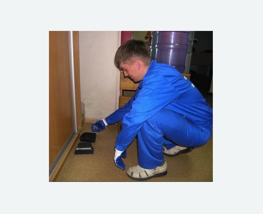 Дератизация крыс Белорусская метро Москвы