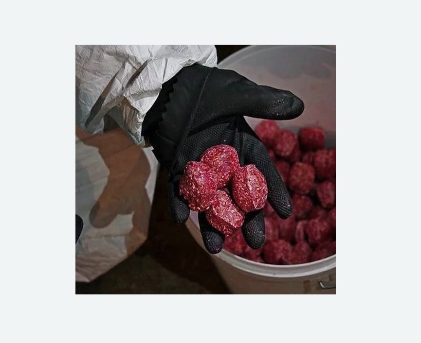 Обработка от крыс Белорусская метро Москвы