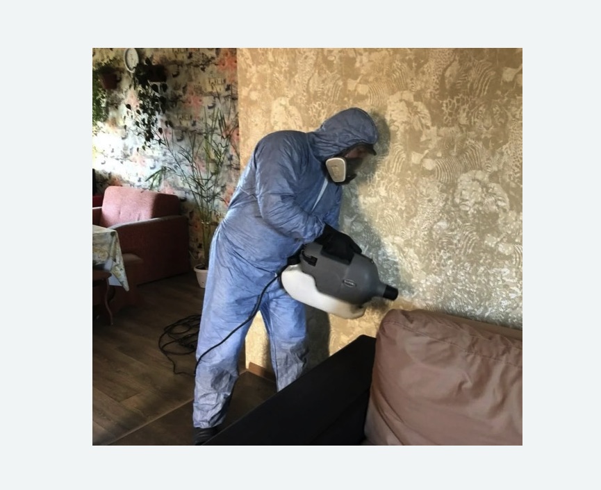 Уничтожение блох в квартире. Белорусская Уничтожение блох в квартире