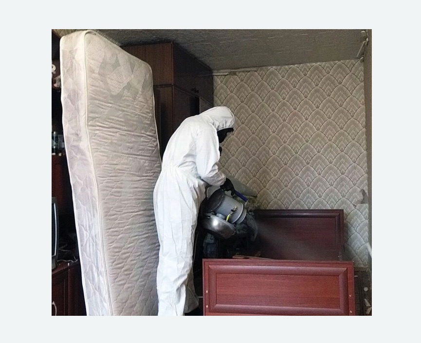 дезинфекция от клопов Белорусская метро Москвы