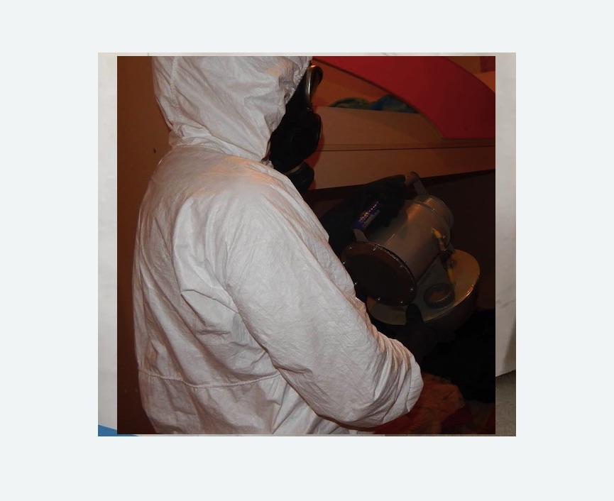 Дезинфекция от муравьев Белорусская метро Москвы