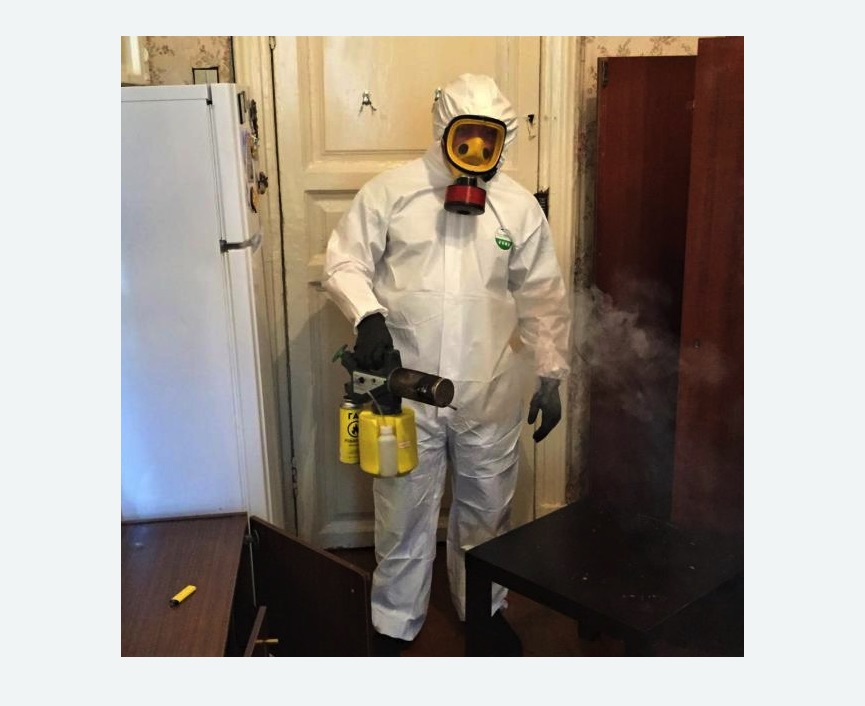 уничтожение муравьев в квартире Белорусская метро Москвы